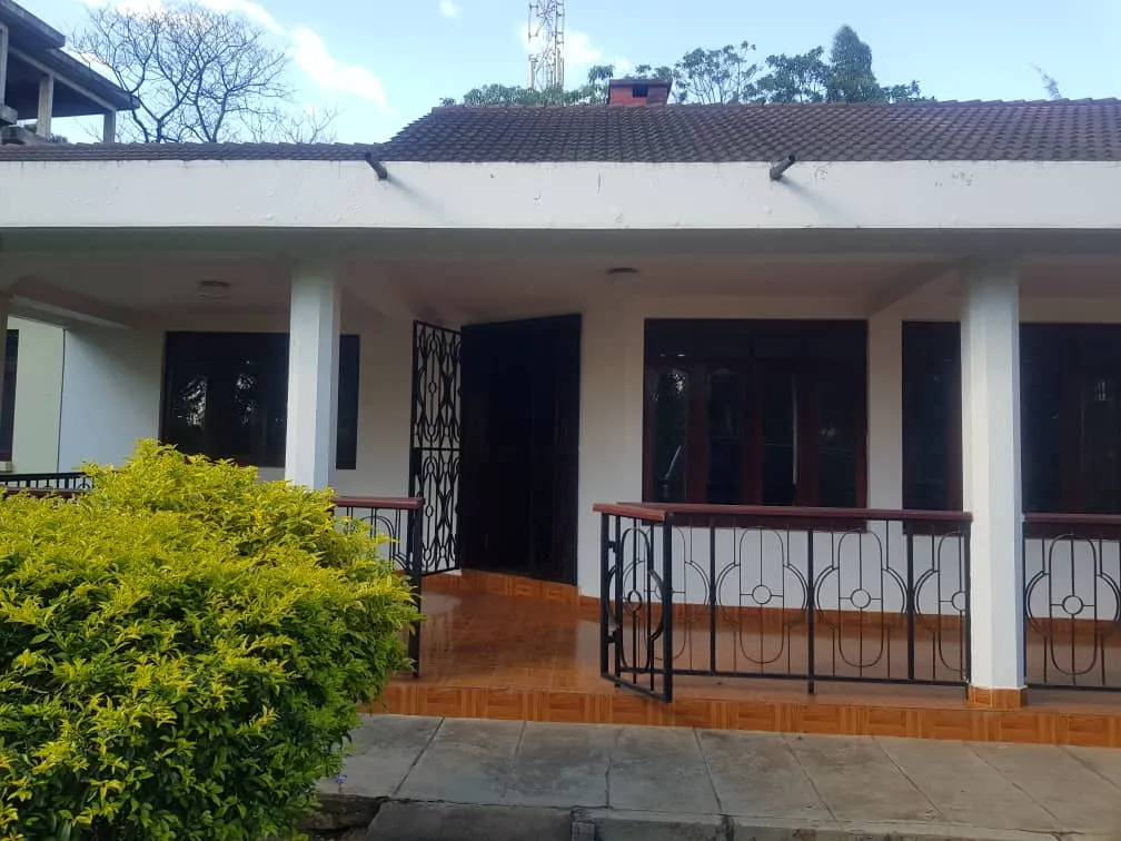 New office in Tanzania - picture 2